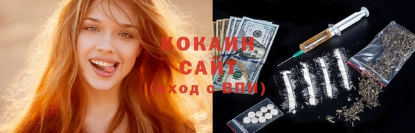 молекула духа Богданович