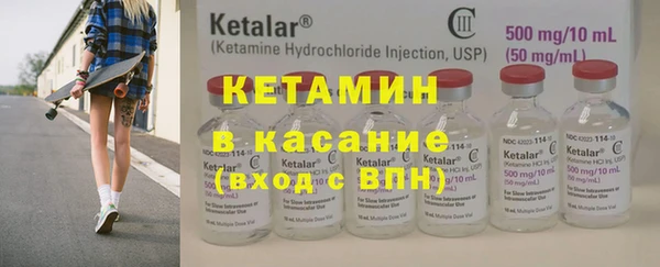 индика Богородицк