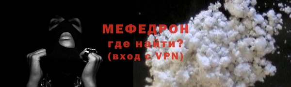 молекула духа Богданович