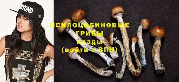 индика Богородицк