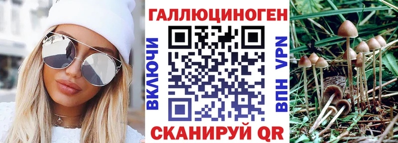 закладки Бокситогорск Псилоцибиновые грибы GOLDEN TEACHER