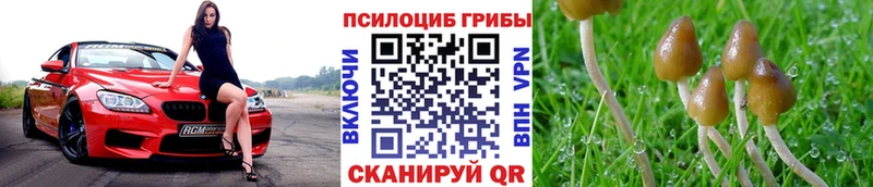 Галлюциногенные грибы Cubensis Бокситогорск