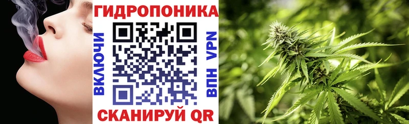 Конопля гибрид  Бокситогорск 